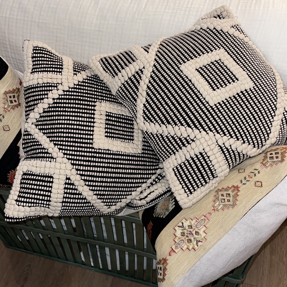 Decorative Pillow Set (2 pc) // Black & Cream